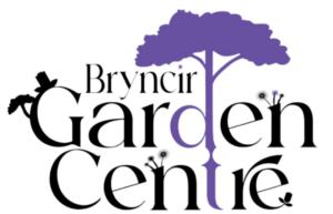 Bryncir
